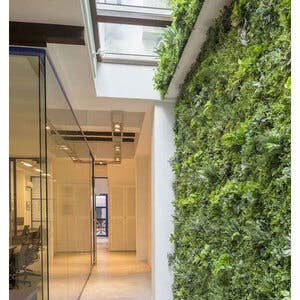 12 ideias de jardim vertical para transformar sua casa | Leroy Merlin