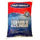 02 Alcalinizante Elevador Alcalinidade Piscina 2kg Hidroazul