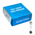 100 X Fusível De Vidro 6x30 Grande Kit Com 100 Peças 9 Amp