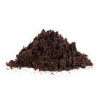100% Turfa Sphagnum - Carolina Soil 45l