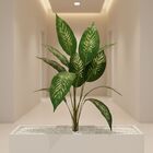 10 Árvores Artificiais Comigo-ninguém-pode Produto Com Revest