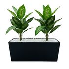 10 Árvores Artificiais Comigo-ninguém-pode Produto Com Revest