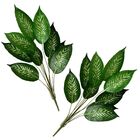 10 Árvores Artificiais Comigo-ninguém-pode Produto Com Revest