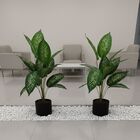 10 Árvores Artificiais Comigo-ninguém-pode Produto Com Revest