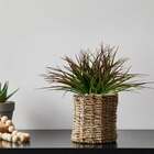 10 Buquês De Capim Artificial Plantas Para Decoração De Painé