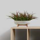 10 Buquês De Capim Artificial Plantas Para Decoração De Painé