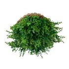 10 Buquês De Eucalipto Artificial Com (5 Hastes Cada) Para De