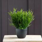 10 Buques Folhagem Artificial Planta Bambu Parede Verde Artes