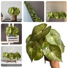 10 Buquês Verdes Artificiais Com Folhagens Realistas - Planta