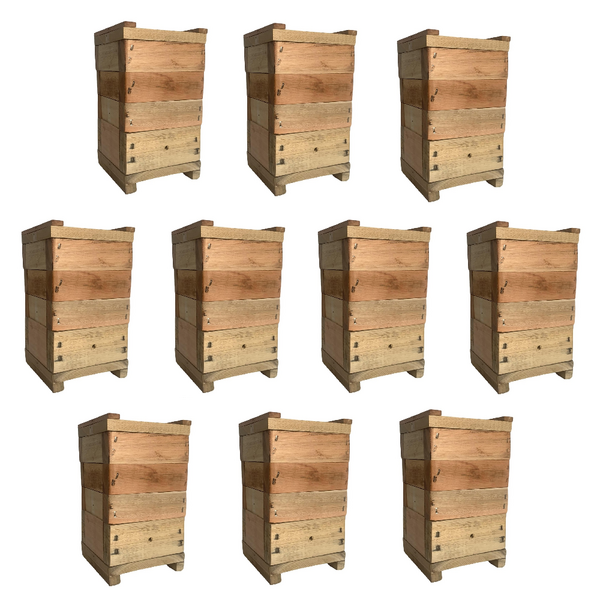 10 Caixas Para Abelha Sem Ferrão 12x12 Inpa Jataí Mirin