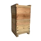 10 Caixas Para Abelha Sem Ferrão 12x12 Inpa Jataí Mirin