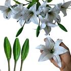 10 Conjuntos De Buquês De Lírio Artificial Sofisticados - Dec