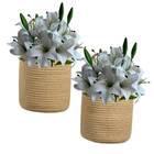 10 Conjuntos De Buquês De Lírio Artificial Sofisticados - Dec