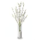 10 Flor Chuva De Ouro Branca Artificial - Ideal Para Revestim