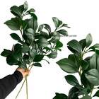 10 Galhos De Folhagem Artificial Peperômia Para Vasos, Jardin