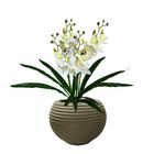 10 Galhos Flor De Orquídea Artificial Tipo Dançante - Elegânc
