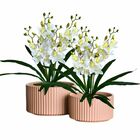 10 Galhos Flor De Orquídea Artificial Tipo Dançante - Elegânc