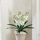 10 Galhos Flor De Orquídea Artificial Tipo Dançante - Elegânc