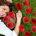 10 Gerberas Laranja Artificiais Com Haste Flexível – Ideal Pa