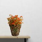 10 Mosquitinhos Artificiais Laranja Durável Para Decorações I