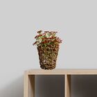 10 Mosquitinhos Artificiais Vermelho Durável Para Decorações