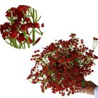 10 Mosquitinhos Artificiais Vermelho Durável Para Decorações