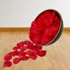 10 Pacotes De Pétalas De Rosa Artificiais (300 Unidades Cada)