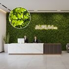 10 Placas De Plantas De Eucalipto 60x40 Jardim De Inverno Ver