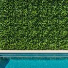 10 Placas Samambaia E Eucalipto Artificial Para Jardim Vertic