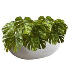 10 Plantas Artificiais Costela De Adão Artificial Luxo Folhas