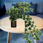 10 Plantas Artificiais Folhagens Para Decorações Suspensas Mo