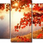 10 Quadro Paisagem Galhos De Arvore 5 Peças Atacado