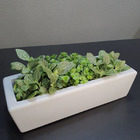 10 Vasos Jardineiras de Polietileno p/ Planta Cinza 37x15cm