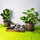 10 Vasos Siena Redondo 20cm Com Pratos Para Flores Plantas  -