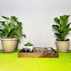 10 Vasos Siena Redondo 20cm Com Pratos Para Flores Plantas  -