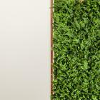 11 Painéis Com Folhagens Artificiais - Tenha Um Jardim Vertic