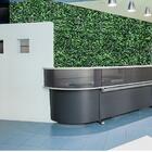 11 Painéis De Folhagens Verdes De Buxinho Permanentes Para Ja