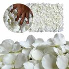 11 Painéis Florais Artificiais para Fundo de Fotos 60x40cm De