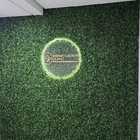 11 Unid. Placa De Buchinho Artificial 60 Cm X 40 Cm 308