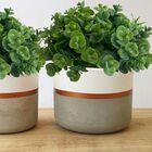 12 Buquês Permanente Com 72 Hastes Total Prático E Ideal Para