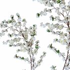12 Galhos De Cerejeira Branca Artificial  Flores Permanentes