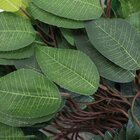 12 Galhos Decoração Arranjo Fícus Artificial Planta Decorativ