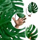 12 Hastes De Costela De Adão Folhagem Permanente Verde Vibran