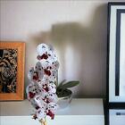 12 Hastes De Orquídea Branca Com Vinho Artificial Para Decora