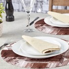 12 Jogo Americano Redondo Outono Impermeável Limpa Fácil Pvc