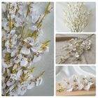 12 Orquídeas Chuva De Ouro Branco Artificial Adicione Charme