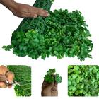 12 Painéis Para Jardim Vertical Artificial Interno 60x40cm Li