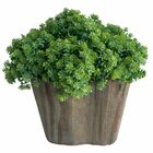 12 Picks Artificiais Com Mini Suculentas Realistas Para Decor