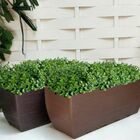 12 Picks De Eucalipto Artificial (72 Hastes No Total) Para Mi