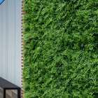 12 Placas Com Folhagens Mistas Artificial Linha Premium Estil